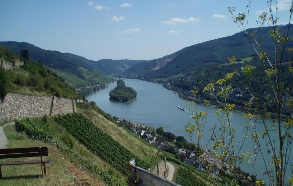 Weingut Theodor Nies Apartment Lorch am Rhein Luaran gambar