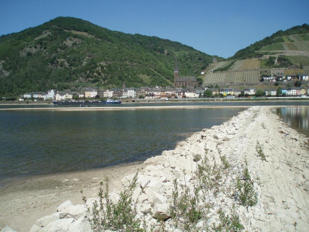 Weingut Theodor Nies Apartment Lorch am Rhein Luaran gambar